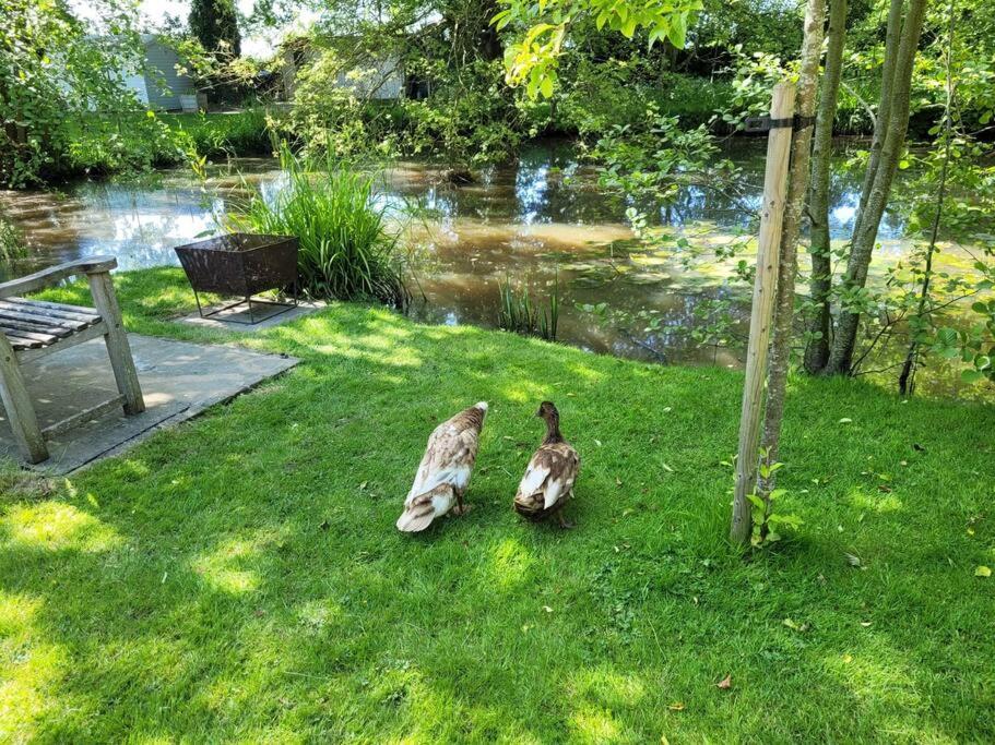 Weaver'S Cottage Smarden Luaran gambar